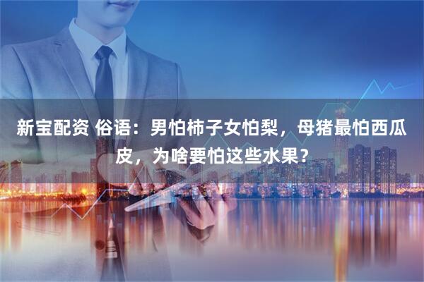 新宝配资 俗语：男怕柿子女怕梨，母猪最怕西瓜皮，为啥要怕这些水果？