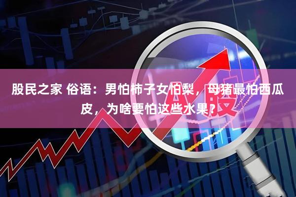 股民之家 俗语：男怕柿子女怕梨，母猪最怕西瓜皮，为啥要怕这些水果？