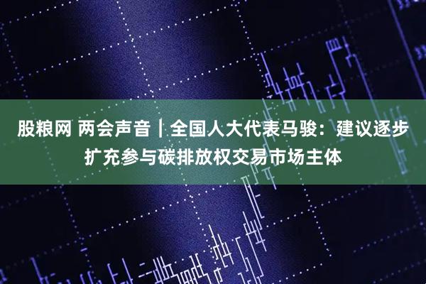股粮网 两会声音｜全国人大代表马骏：建议逐步扩充参与碳排放权交易市场主体