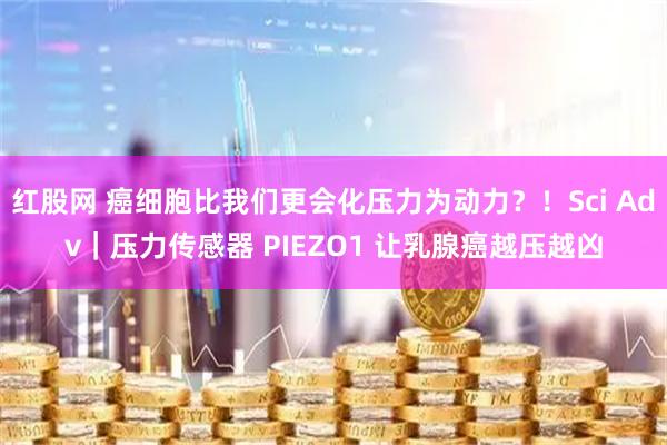红股网 癌细胞比我们更会化压力为动力？！Sci Adv｜压力传感器 PIEZO1 让乳腺癌越压越凶