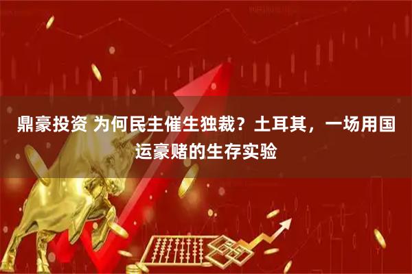 鼎豪投资 为何民主催生独裁？土耳其，一场用国运豪赌的生存实验