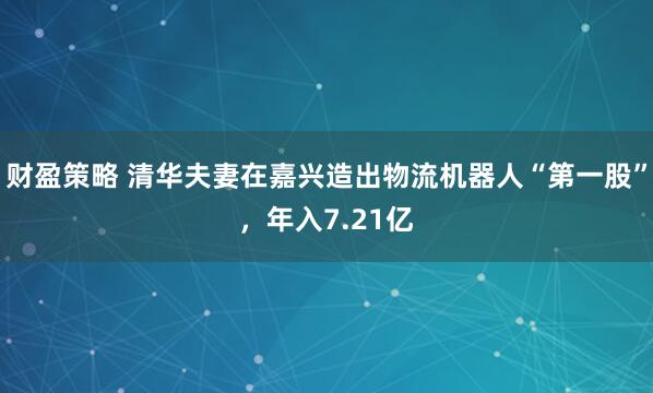 财盈策略 清华夫妻在嘉兴造出物流机器人“第一股”，年入7.21亿