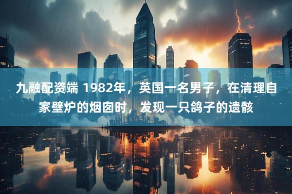 九融配资端 1982年，英国一名男子，在清理自家壁炉的烟囱时，发现一只鸽子的遗骸