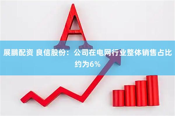 展鵬配资 良信股份：公司在电网行业整体销售占比约为6%