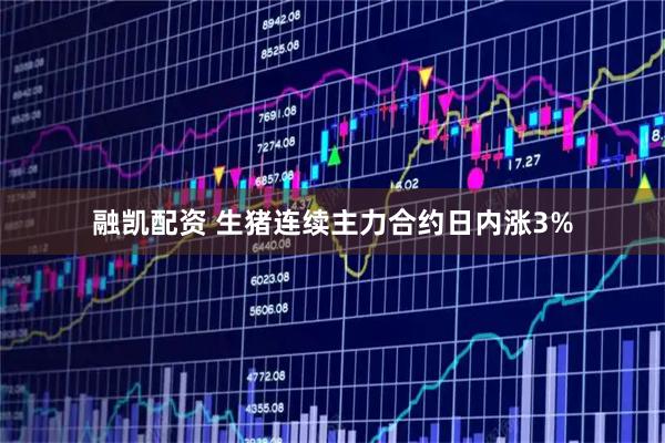 融凯配资 生猪连续主力合约日内涨3%