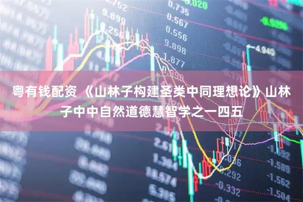 粤有钱配资 《山林子构建圣类中同理想论》山林子中中自然道德慧智学之一四五