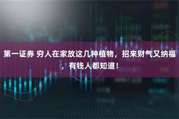 第一证券 穷人在家放这几种植物，招来财气又纳福，有钱人都知道！