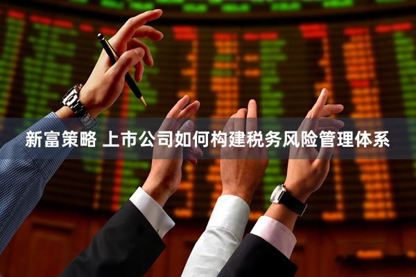 新富策略 上市公司如何构建税务风险管理体系