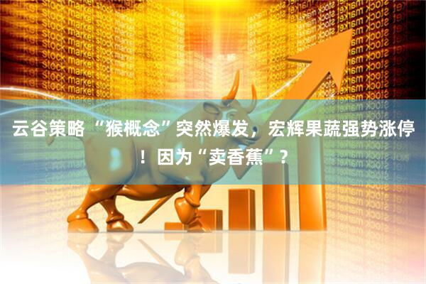 云谷策略 “猴概念”突然爆发，宏辉果蔬强势涨停！因为“卖香蕉”？