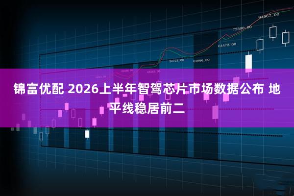 锦富优配 2026上半年智驾芯片市场数据公布 地平线稳居前二