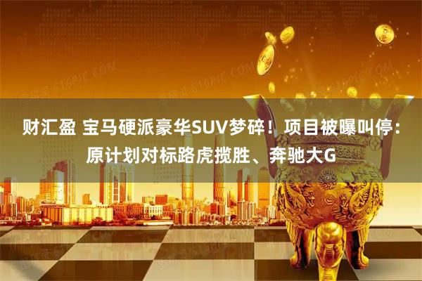 财汇盈 宝马硬派豪华SUV梦碎！项目被曝叫停：原计划对标路虎揽胜、奔驰大G